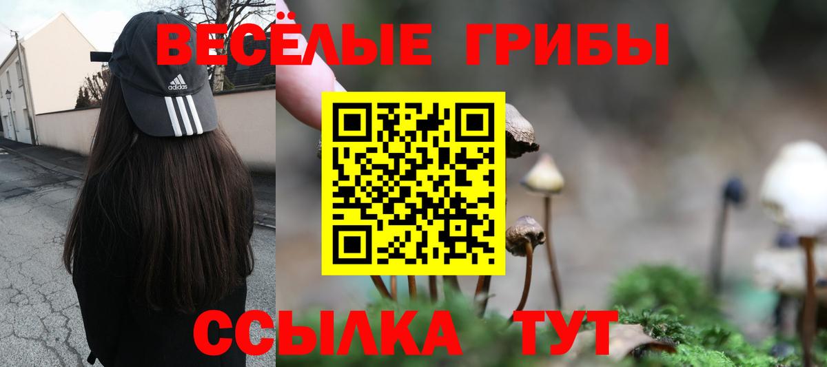 Ливны  Галлюциногенные грибы прущие грибы  Вход с VPN 